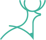Deer Designer