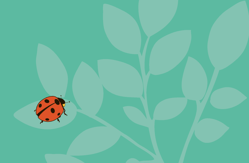 web design,website design,design tips