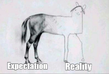 Expectation vs reality drawing